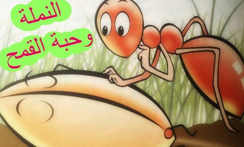 قصة النبي سليمان مع النملة وحبة القمح 1 النبي سليمان