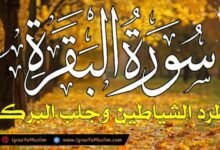 سورة البقرة كاملة لطرد الشياطين من منزلك وجلب البركه باذن الله – surat albaqra سورة البقرة كاملة لطرد الشياطين من منزلك وجلب البركه باذن الله – surat albaqra