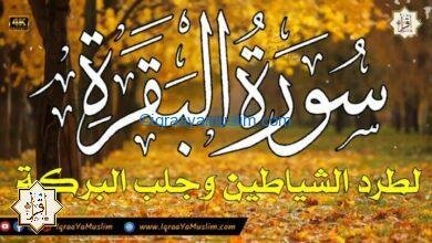 سورة البقرة كاملة لطرد الشياطين من منزلك وجلب البركه باذن الله – surat albaqra سورة البقرة كاملة لطرد الشياطين من منزلك وجلب البركه باذن الله – surat albaqra