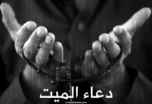 افضل دعاء للمتوفي مستجاب لا يرد افضل دعاء للمتوفي مستجاب لا يرد