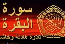 سورة البقرة تلاوة خاشعة وهادئة 💚 قران كريم💚 سبحان من رزقه هذا الصوت سورة البقرة تلاوة خاشعة وهادئة 💚 قران كريم💚 سبحان من رزقه هذا الصوت