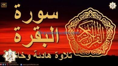 سورة البقرة تلاوة خاشعة وهادئة 💚 قران كريم💚 سبحان من رزقه هذا الصوت سورة البقرة تلاوة خاشعة وهادئة 💚 قران كريم💚 سبحان من رزقه هذا الصوت