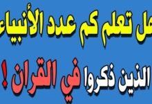 من هم الأنبياء الذين ذكر أسمائهم في القرآن الكريم؟ من هم الأنبياء الذين ذكر أسمائهم في القرآن الكريم؟