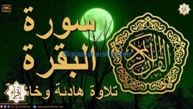 سورة البقرة كامله لطرد الشياطين من منزلك وجلب البركة باذن الله – surat albaqra سورة البقرة كامله لطرد الشياطين من منزلك وجلب البركة باذن الله – surat albaqra