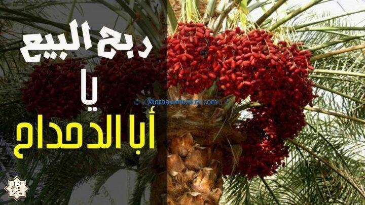 قصة أبي الدحداح الذي ربح بساتين في الجنة قصة أبي الدحداح الذي ربح بساتين في الجنة