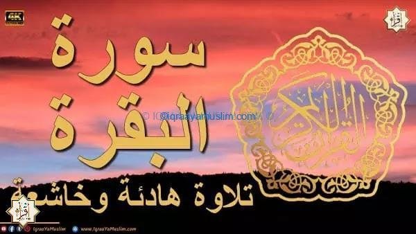 سورة البقرة تلاوة خاشعة وهادئة 💚 قران كريم💚 سبحان من رزقه هذا الصوت سورة البقرة تلاوة خاشعة وهادئة 💚 قران كريم💚 سبحان من رزقه هذا الصوت