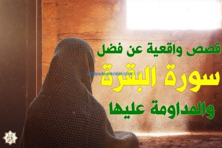 5 قصص واقعية عن فضل سورة البقرة والمداومة عليها 5 قصص واقعية عن فضل سورة البقرة والمداومة عليها