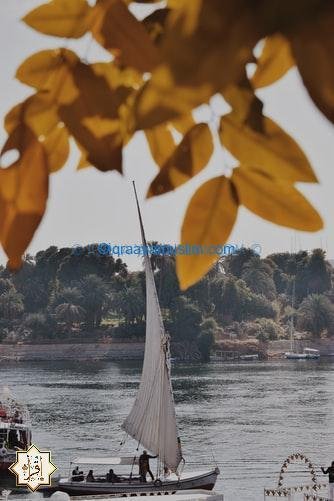 قصة النبي المدفون في نهر النيل واخرجه سيدنا موسى من النهر قصة النبي المدفون في نهر النيل واخرجه سيدنا موسى من النهر