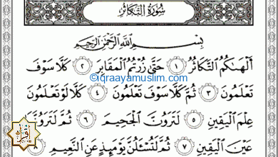 ما سبب نزول سورة التكاثر في القرآن الكريم؟ ما سبب نزول سورة التكاثر في القرآن الكريم؟