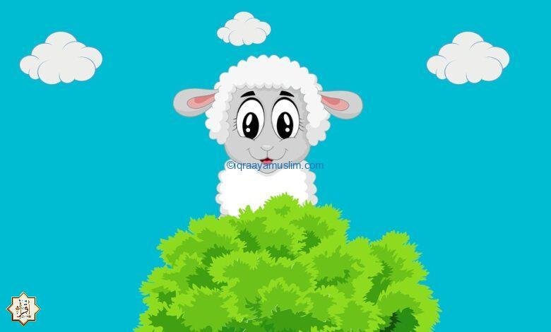 موضوع تعبير عن عيد الأضحى 1 موضوع تعبير عن عيد الأضحى