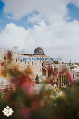 موعد تحرر فلسطين في القران الكريم وهل ستكون علامة من علامات القيامة؟ موعد تحرر فلسطين في القران الكريم وهل ستكون علامة من علامات القيامة؟