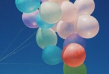 15 تفسير حلم عيد الأضحى للمتزوجة في الحلم 15 تفسير حلم عيد الأضحى للمتزوجة في الحلم