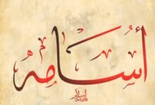 ما هو دلالة اسم اسامة في الحلم ما هو دلالة اسم اسامة في الحلم