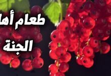 ما هو أول طعام اهل الجنة؟ ما هو أول طعام اهل الجنة؟