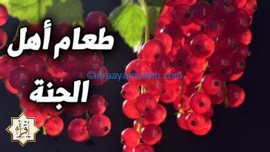 ما هو أول طعام اهل الجنة؟ ما هو أول طعام اهل الجنة؟