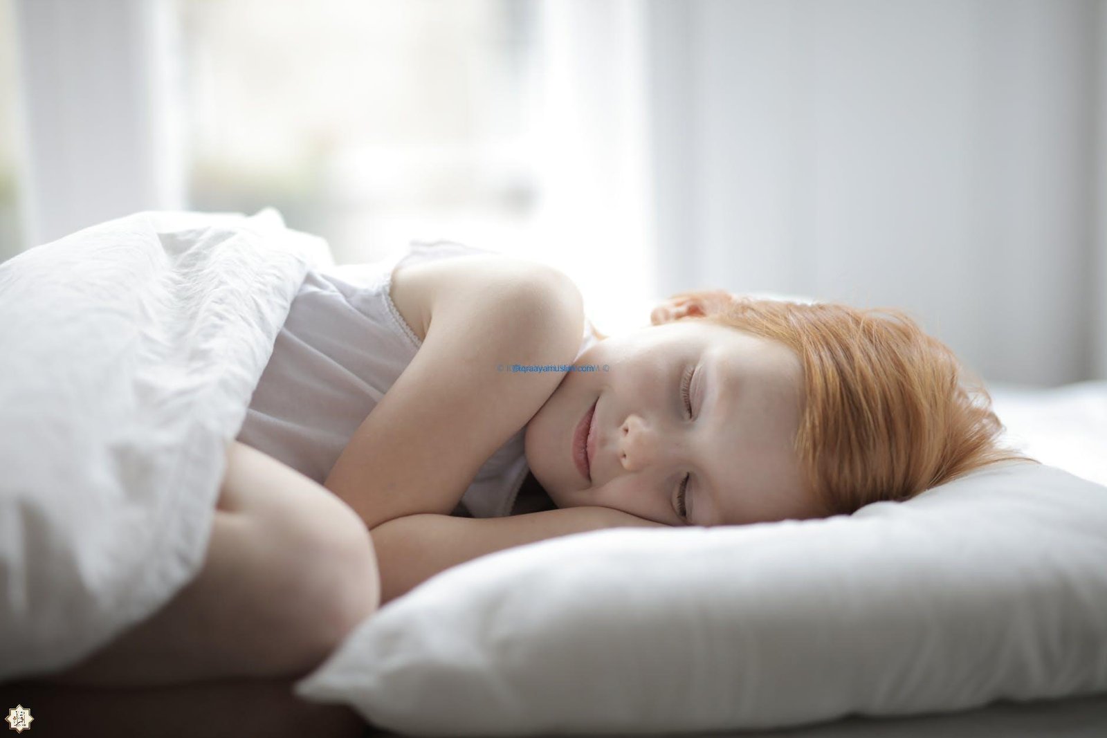 الفرق بين الرؤية وأضغاث الأحلام الفرق بين الرؤية وأضغاث الأحلام