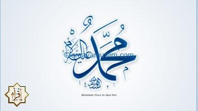 سبب عدم صيام يوم المولد النبوي سبب عدم صيام يوم المولد النبوي