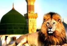 دخول الأسود المسجد النبوي آخر الزمان دخول الأسود المسجد النبوي آخر الزمان