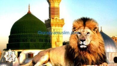 دخول الأسود المسجد النبوي آخر الزمان دخول الأسود المسجد النبوي آخر الزمان