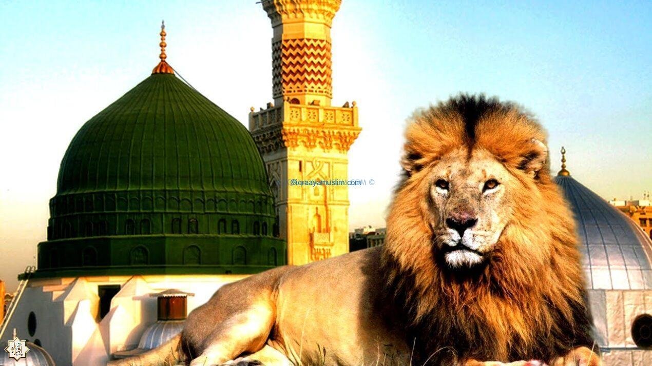 دخول الأسود المسجد النبوي آخر الزمان دخول الأسود المسجد النبوي آخر الزمان