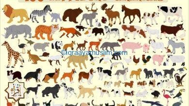 ما هي الحيوانات التي يكرهها النبي؟ ما هي الحيوانات التي يكرهها النبي؟