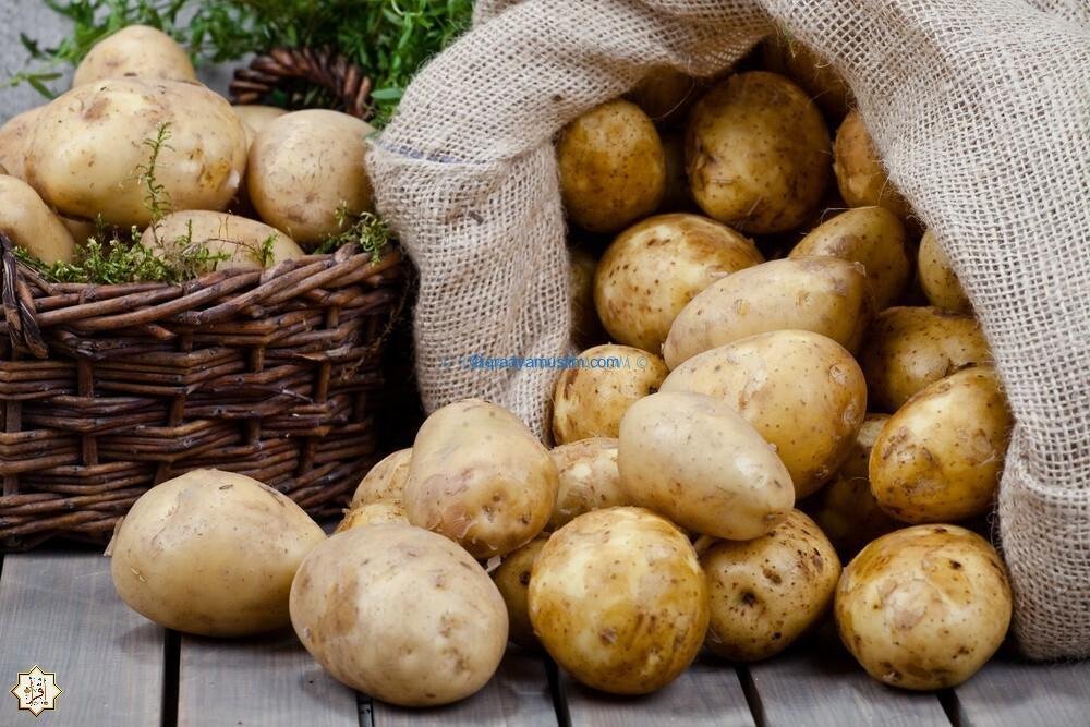 تفسير حلم البطاطس في المنام تفسير حلم البطاطس في المنام