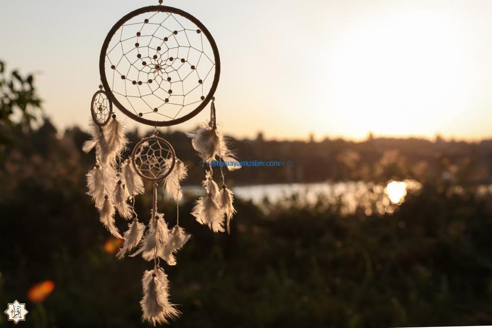 حكم استخدام صائدة الأحلام حكم استخدام صائدة الأحلام