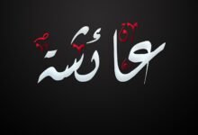 قصص النبي مع أفقه أمهات المسلمين قصص النبي مع أفقه أمهات المسلمين