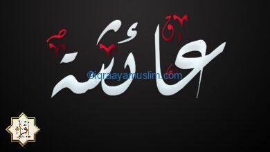 قصص النبي مع أفقه أمهات المسلمين 
