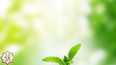أسباب الرزق الواسع أسباب الرزق الواسع