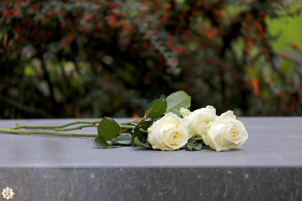 أفضل الأعمال التي تقدم للميت أفضل الأعمال التي تقدم للميت