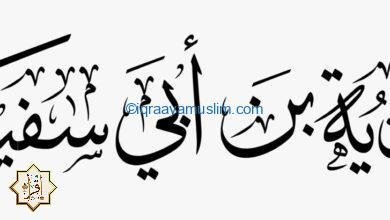 صفات معاوية بن أبي سفيان صفات معاوية بن أبي سفيان