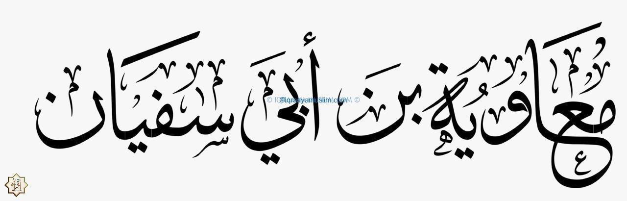 صفات معاوية بن أبي سفيان 