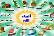 7 أبرز مهن الأنبياء والرسل 7 أبرز مهن الأنبياء والرسل