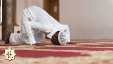 طريقة صلاه الشفع والحكمة منها طريقة صلاه الشفع والحكمة منها