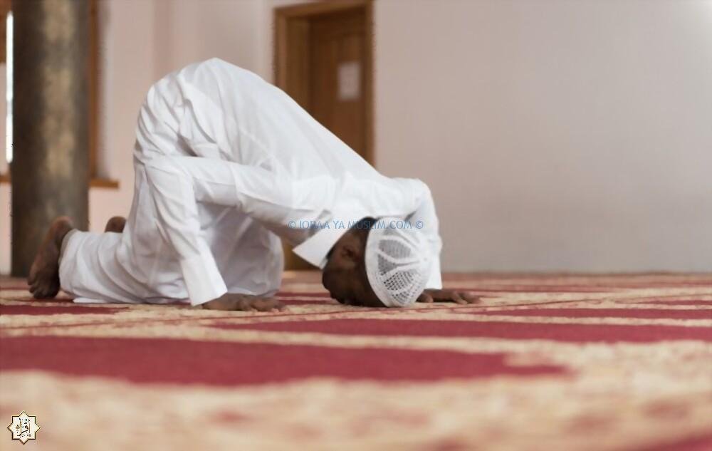 طريقة صلاه الشفع والحكمة منها طريقة صلاه الشفع والحكمة منها