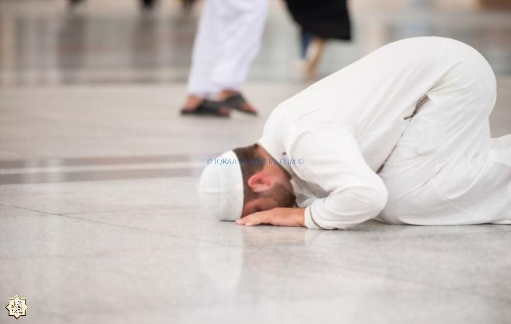 ماذا يقصد بـ العبادة في الهرج؟ ماذا يقصد بـ العبادة في الهرج؟