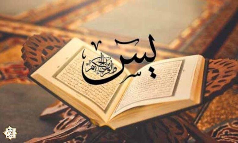 فضل سورة يس للميت كل ليلة 1 637138103848049932