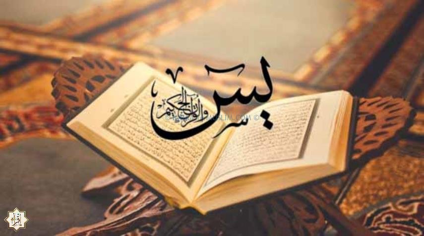 فضل سورة يس للميت كل ليلة فضل سورة يس للميت كل ليلة