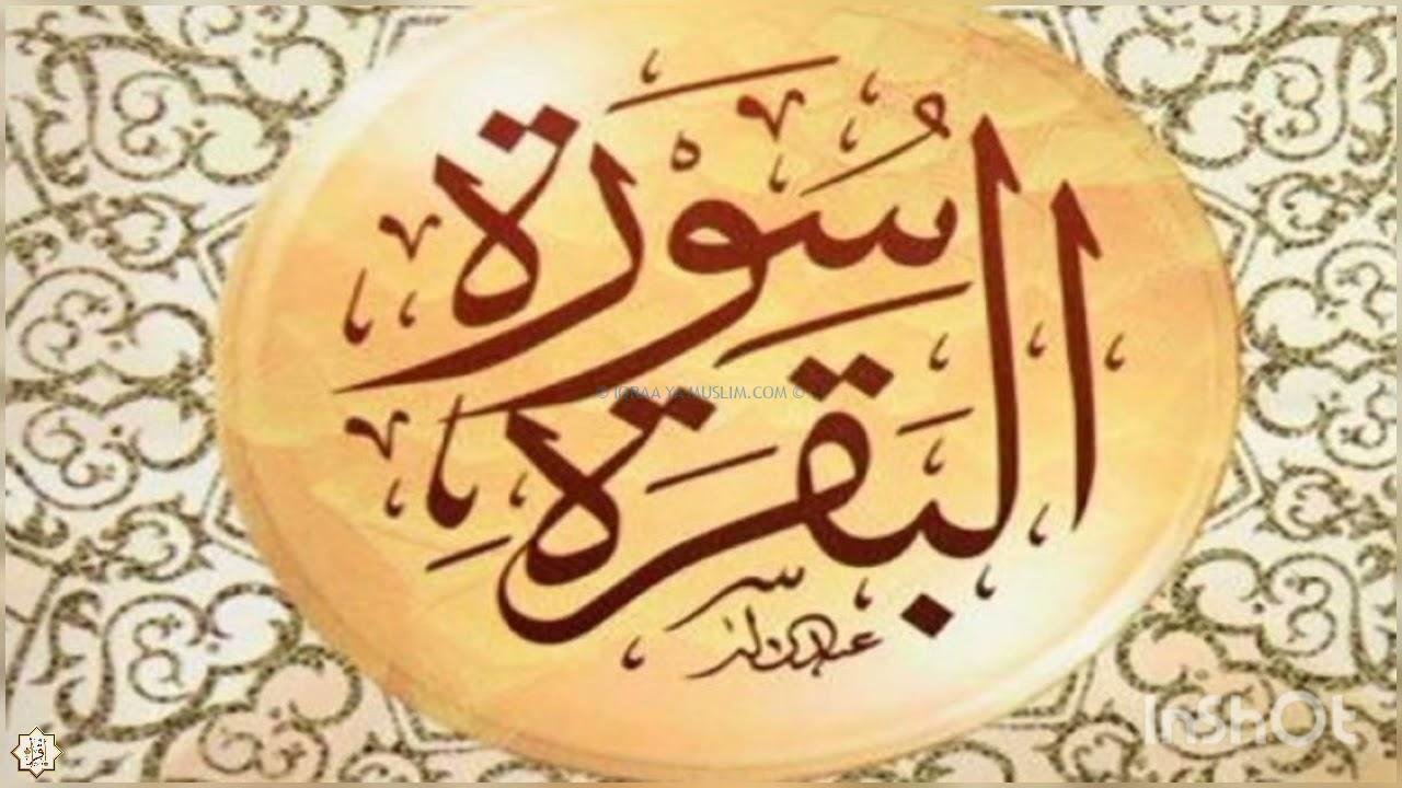 حكم قراءة سورة البقرة لقضاء الحاجة