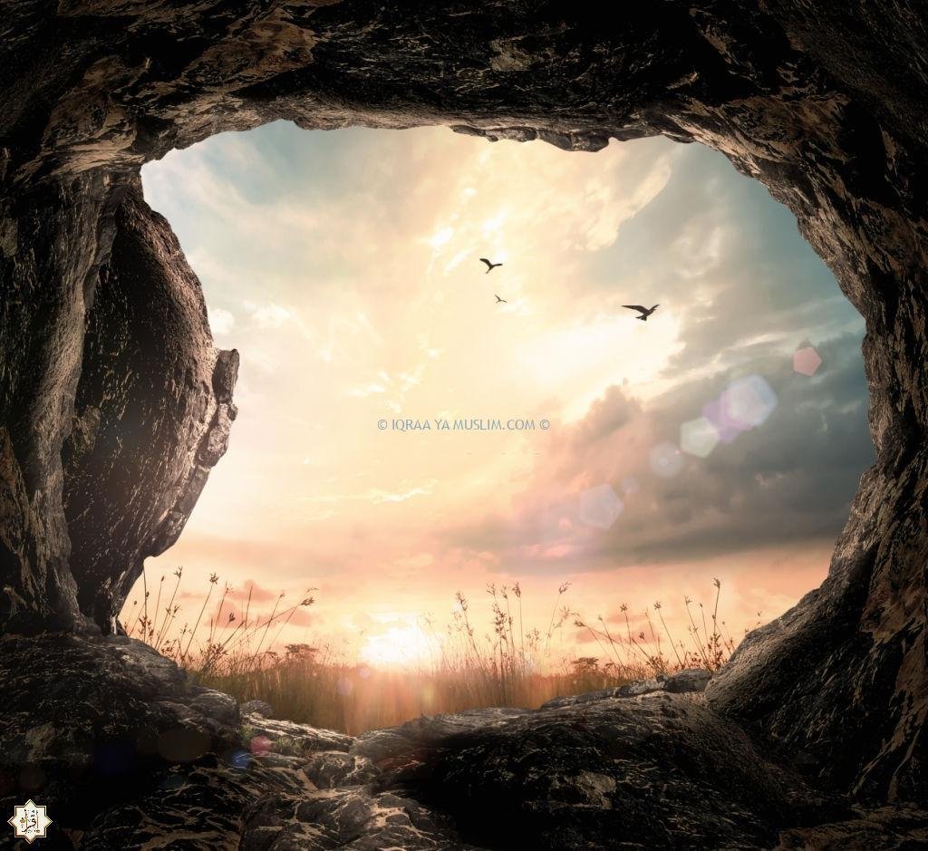 الدليل على وقوع البعث الدليل على وقوع البعث