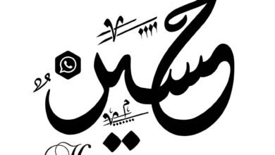 دلالة اسم حسين في المنام للسيدة الحامل دلالة اسم حسين في المنام للسيدة الحامل