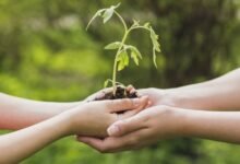 7 من آداب الصدقة وفضلها في الاسلام 7 من آداب الصدقة وفضلها في الاسلام