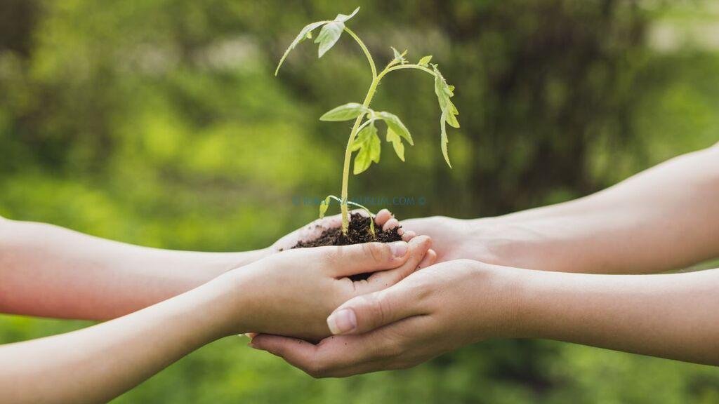 7 من آداب الصدقة وفضلها في الاسلام 7 من آداب الصدقة وفضلها في الاسلام