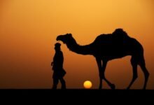قصة الصحابي الذي وجد جزيرة الدجال قصة الصحابي الذي وجد جزيرة الدجال
