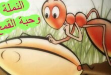 قصة النبي سليمان مع النملة وحبة القمح قصة النبي سليمان مع النملة وحبة القمح