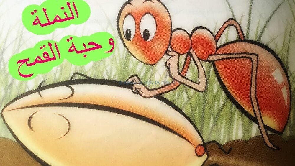 قصة النبي سليمان مع النملة وحبة القمح قصة النبي سليمان مع النملة وحبة القمح