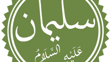 قصة سيدنا سليمان عليه السلام مع السمكة قصة سيدنا سليمان عليه السلام مع السمكة
