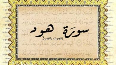 أبرز موضوعات سورة هود أبرز موضوعات سورة هود