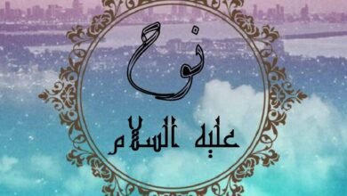 كم لبث النبي نوح في قومه كم لبث النبي نوح في قومه